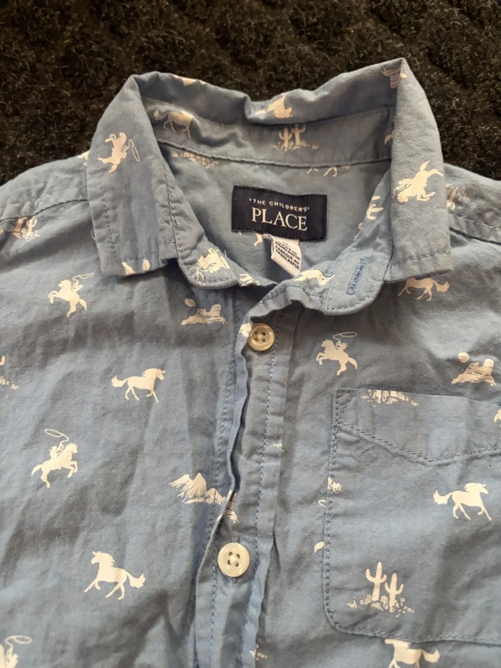 Boys Hawaiian Shirt And Shorts Lot The children’s place Tommy Bahama 4T